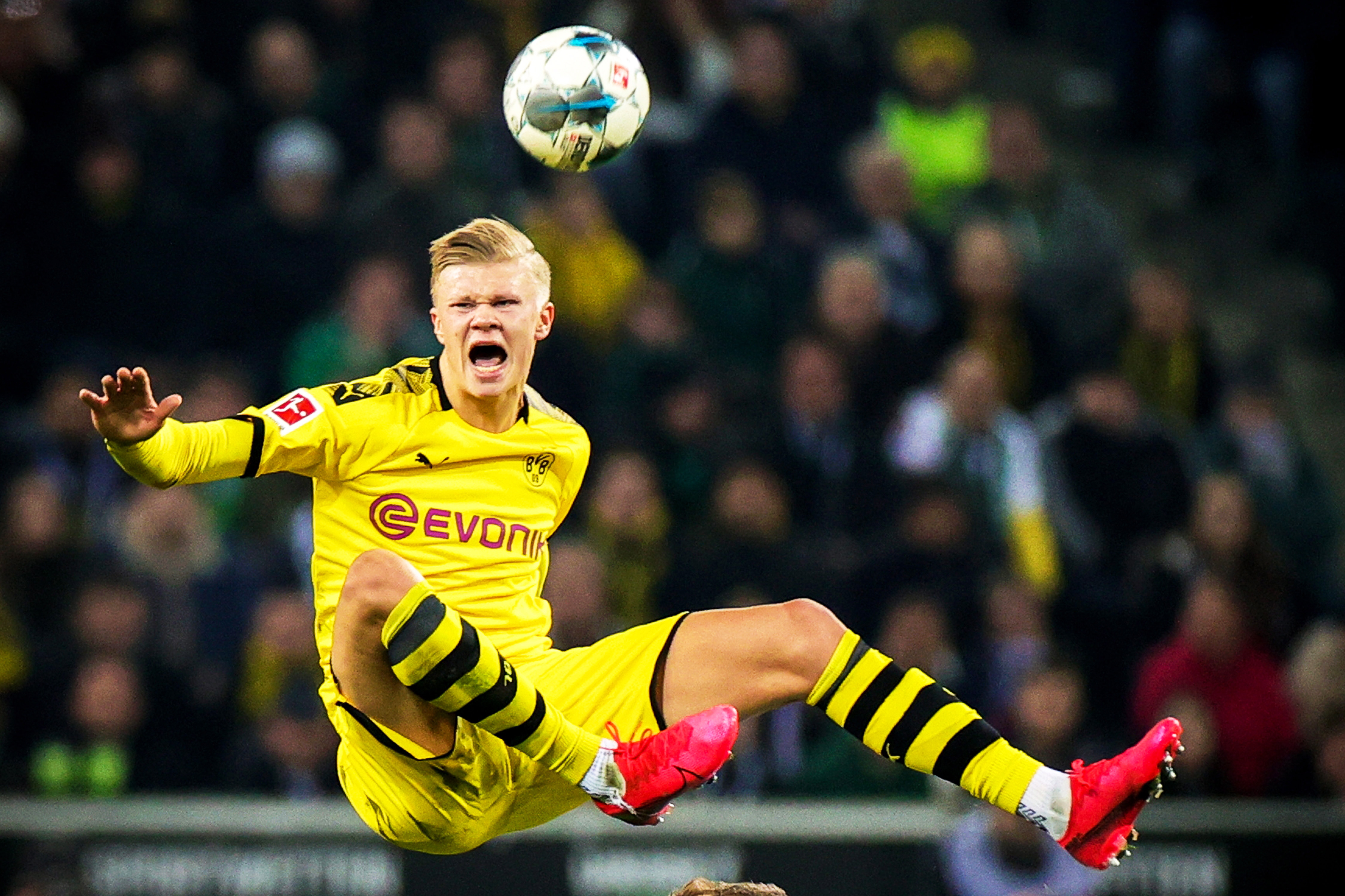 中超历年冠军主帅：仅4位本土教练，穆斯卡特2年2冠